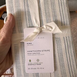 Pottery Barn Blue and White Hawthorn Stripe Sham